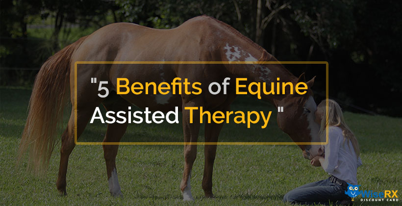 Equine assisted therapy