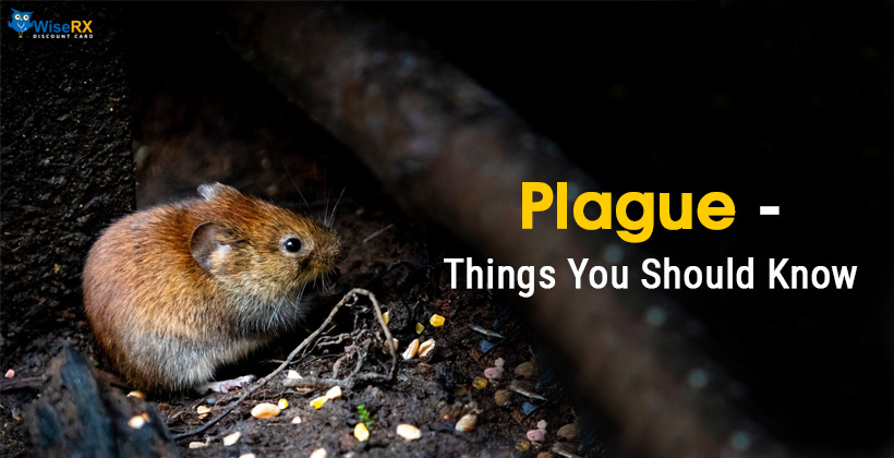 plague