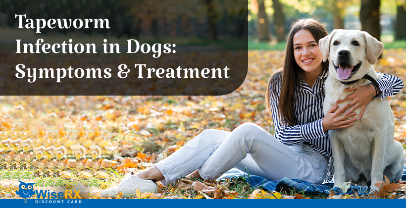 Tapeworm Infection in Dogs